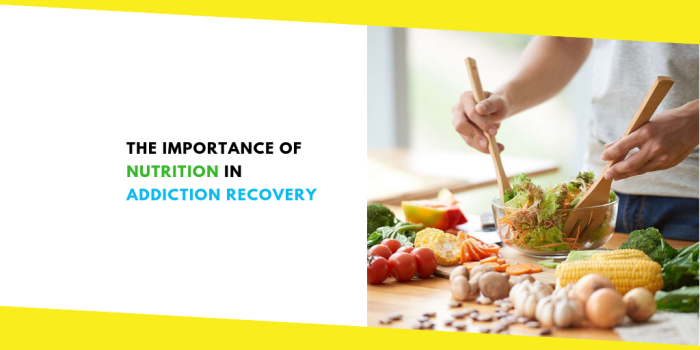 Nutrition and wellness in addiction recovery